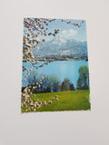 AK Faakersee.