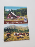 AK Klein-Kirchheimer Wolitzen-Hütte.
