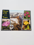 AK Großglockner Blumengrüße.