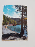 AK Weißensee. Gasthaus und Motorbootstation Ronacherfels.