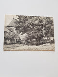 AK Millstatt, Alte Linde. 1886, H. Darnaut. (Reprint)
