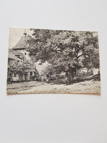AK Millstatt, Alte Linde. 1886, H. Darnaut. (Reprint)
