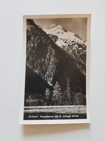 AK Mallnitz Spappitzersee mit d. Ankogel.