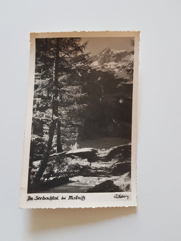 AK Im Seebachtal bei Mallnitz.