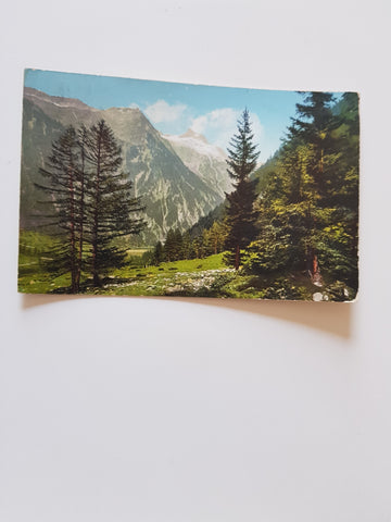 AK Tauernbahn: Ankogel. (1910)