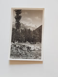 AK Mallnitz. Motiv am Weiher mit Ankogel. (1928)
