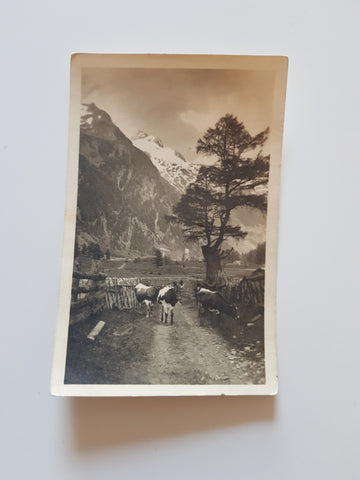 AK Seebachtal mit Ankogel. (1918)