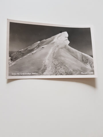 AK Spitze des Großvenediger.