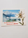 AK Ein Blumengruß aus der Dolomitenstadt Lienz.