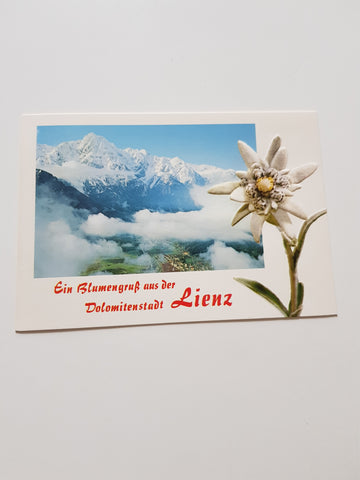 AK Ein Blumengruß aus der Dolomitenstadt Lienz.