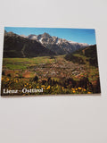 AK Lienz.