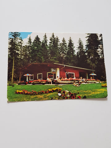 AK Jausenstation Moos-Alm Schloßberg Lienz. Venedigerwarte Inh.: A. Tiefenbacher.