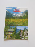 AK Lienzer Dolomitenhütte.
