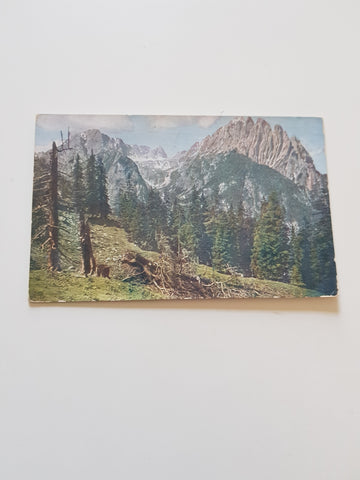 AK Spitzkofel von der Triestacher Alm.