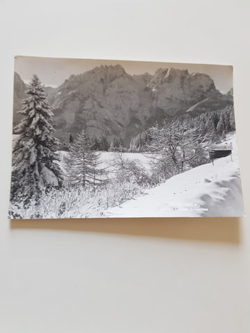 AK Iselsberg.