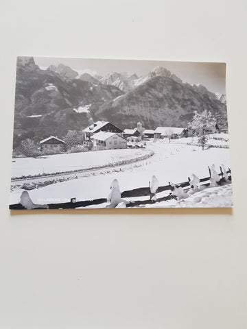 AK Iselsberg.