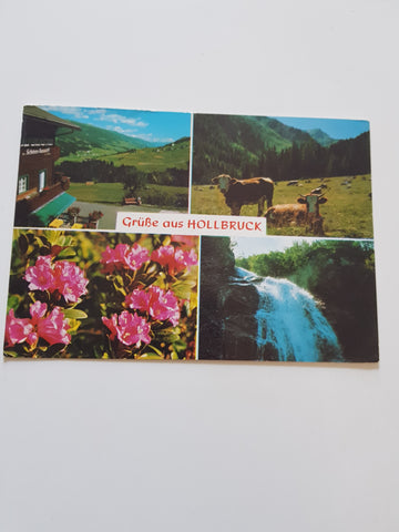 AK Grüße aus Hollbruck. Alpengasthof zur schönen Aussicht.