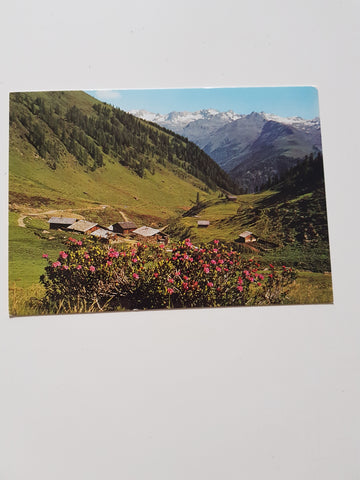 AK Grüße von der Brugger-Alm in einer schönen Wanderung von St. Jakob im Def.