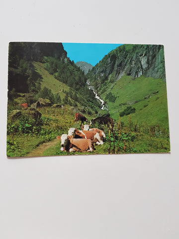 AK Siesta im Umbaltal. Hinterbichl.