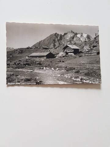 AK Steiner Alm.
