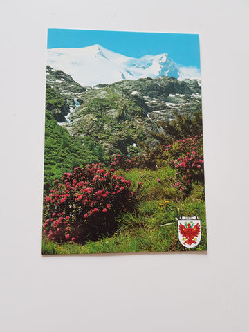 AK Innerschlöß - Tauerntal mit Venedigergruppe.