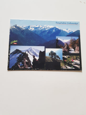 AK Osttirol. Blick übers Iseltal auf den Großvenediger.