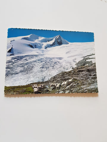 AK Aufstieg zum Großvenediger über die Pragerhütte. Blick auf Schlattenkees.