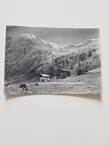 AK Sillianerhütte gegen Rainer-Alm.