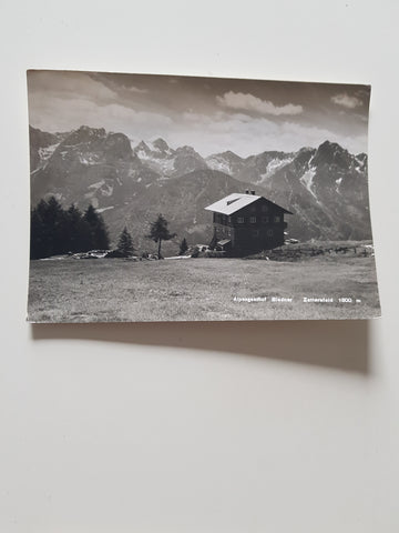 AK Alpengasthof Biedner Zettersfeld.