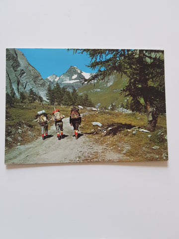 AK Ködnitztal bei Kals gegen Großglockner.