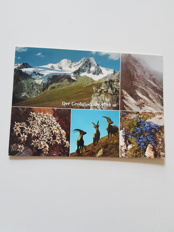 AK Der Großglockner.