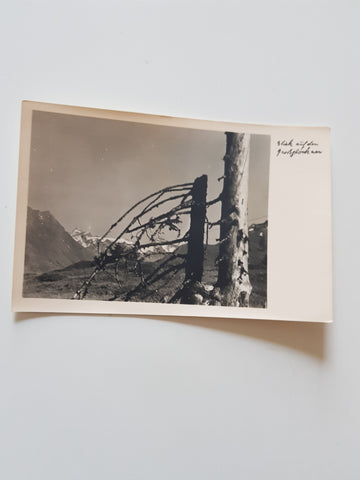 AK Blick auf den Großglockner.