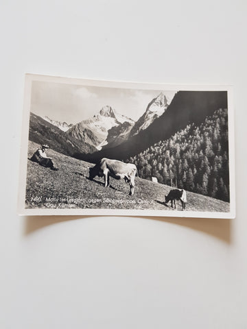 AK Motiv im Lesachtal gegen Schobergruppe.