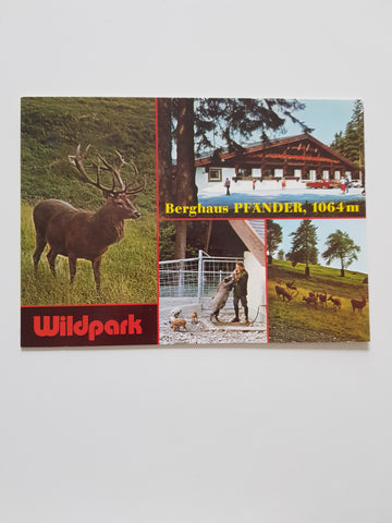 AK Bregenz. Berghaus Pfänder. Wildpark.