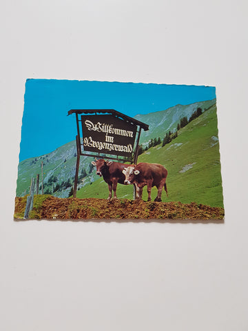 AK Willkommen im Bregenzerwald.