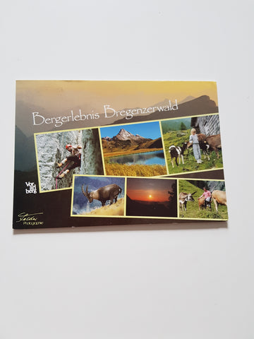 AK Bergerlebnis Bregenzerwald.