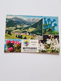 AK Grüße aus Mittelberg. Kleinwalsertal.