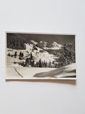 AK Mittelberg-Höfle. Gasthaus und Pension Wildental. Schafalpköpf.