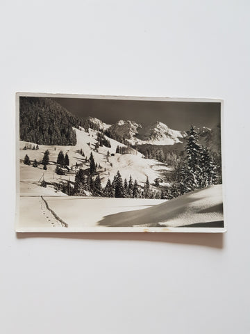 AK Mittelberg-Höfle. Gasthaus und Pension Wildental. Schafalpköpf.