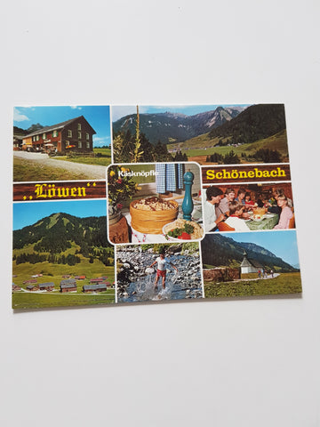 AK Schönebach. Gasthof Löwen Bes. Fam. Wirth.