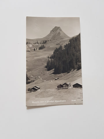 AK Damüls. Gasthof Alpenblume.