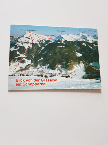 AK Blick von der Gräsalpe auf Schoppernau.