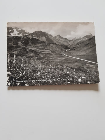 AK Tannbergstrasse geg. Braunarlspitze.