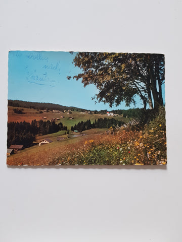AK Bödele ob Dornbirn.