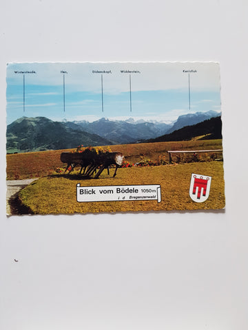 AK Blick vom Bödele.