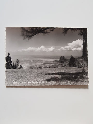 AK Blick vom Bödele auf den Bodensee.