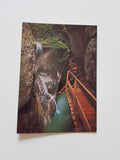AK Rappenlochschlucht. Alploch bei Dornbirn.