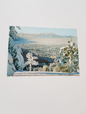 AK Dornbirn.