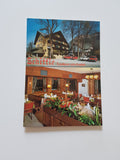 Werbe-AK Hohenems. Gasthof und Landhaus Schiffle. Fam. E. Fässler.