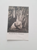 AK Lurgrotte Semriach Piniengruppe.
